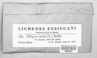 Image Associated With the Occurence
